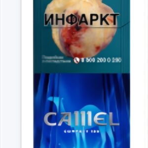 Кэмл компакт 100
